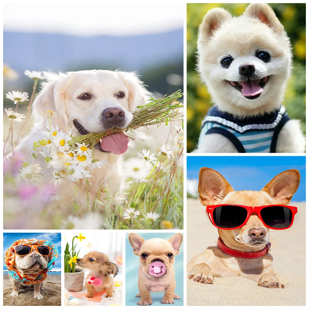 

Diamond Painting Dog SquareRound 5D Diy Diamond Embroidered Animal Mosaic For Sale Rhinestone Art Painting