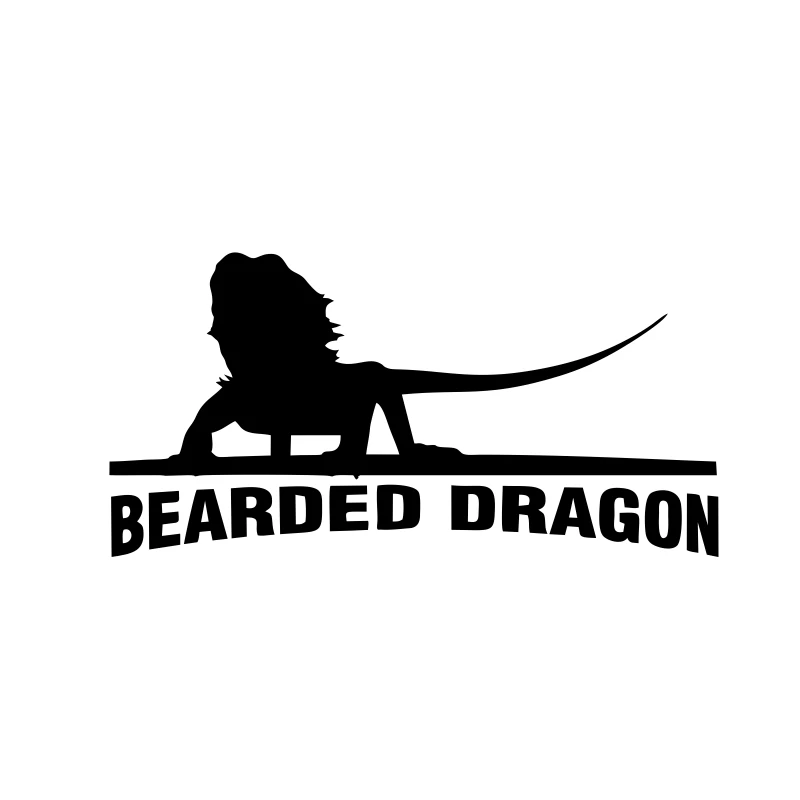 

14.5cm Lizard BEARDED DRAGON Bumper Adhesive Motorcycle Car Sticker Funny Wall Car Stickers Length