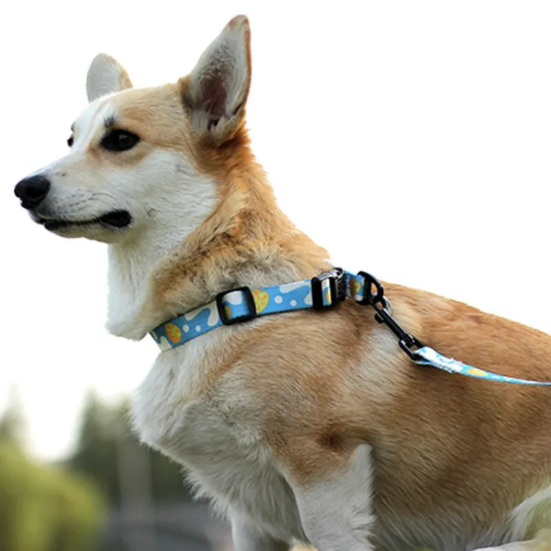 

Dog Collar Pet Adjustable Collar Leash Pets Printing Collars Retractable Pets Traction Rope Set Pet Comfortable Diving Cloth