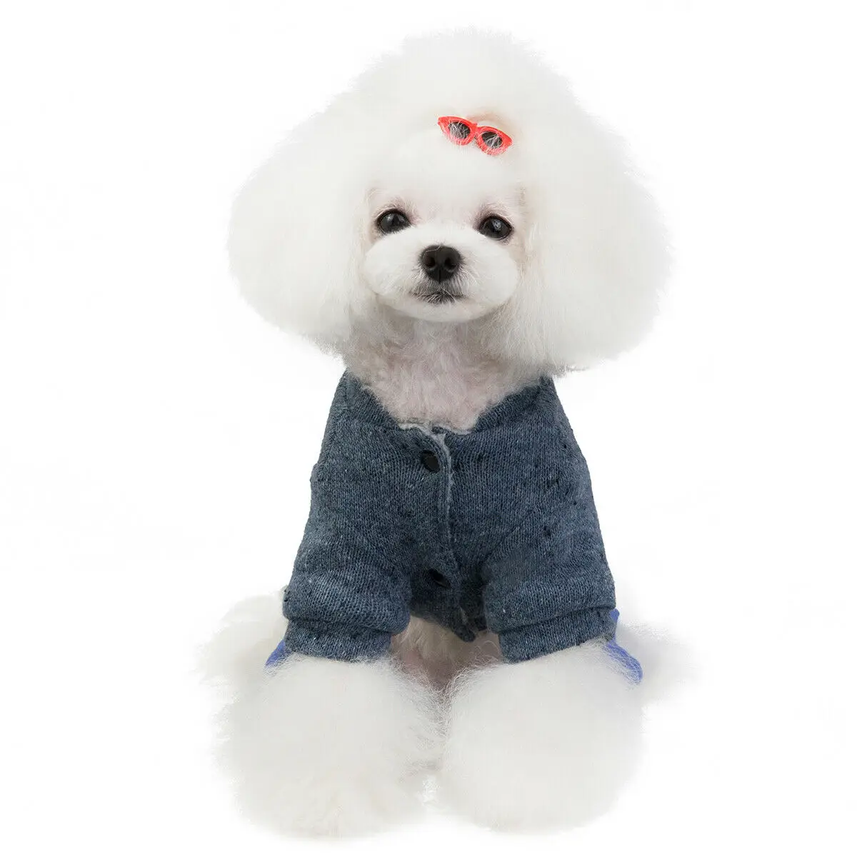 Зимняя одежда для домашних животных отдыха теплая куртка щенков комбинезон