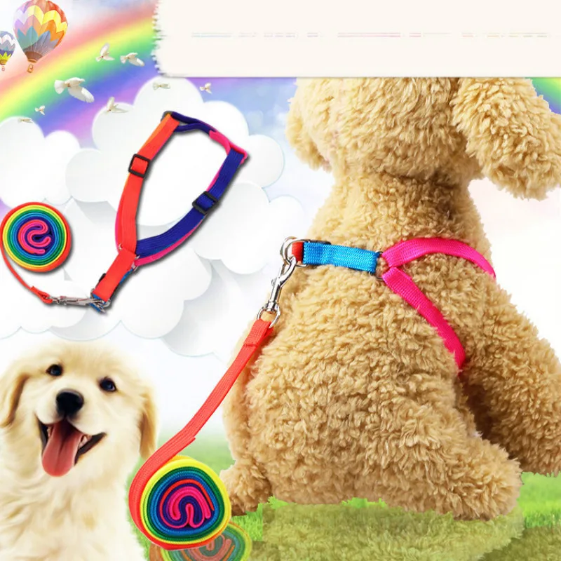 

Pet Traction Rope 1.5cm and 1.0cm Colorful Rope Chest Strap with Chain Cute Rainbow Collar Adjustable Small Medium Pet Supplies