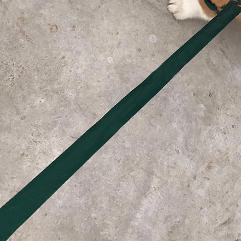 Комплект поводков для чихуахуа Модный нейлоновый поводок мопса прогулок