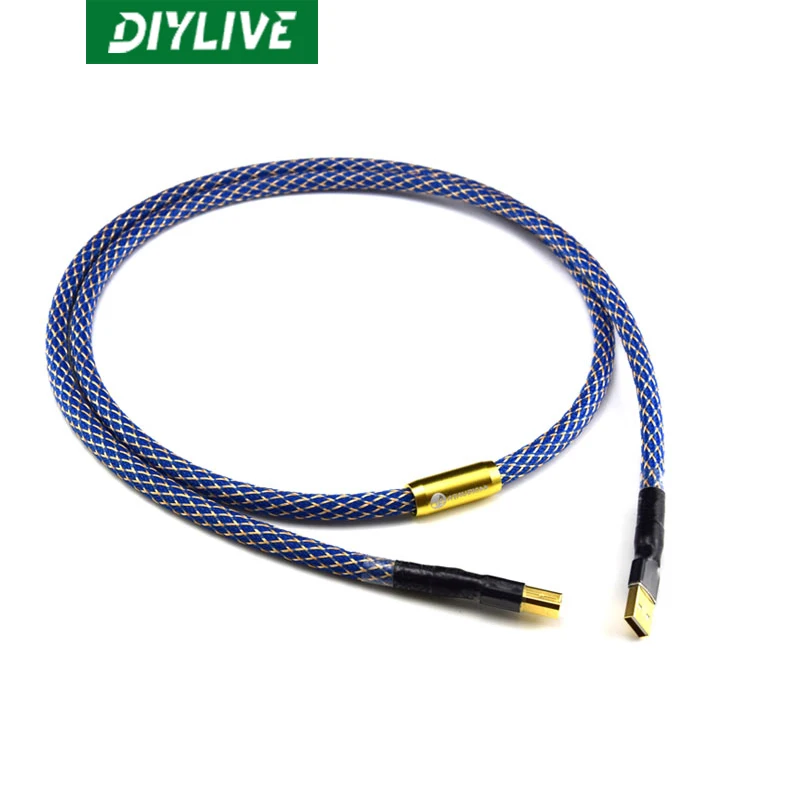 Посеребренный Высокоточный USB-кабель G5 DIYLIVE высокого качества 6N OFC AB DAC для
