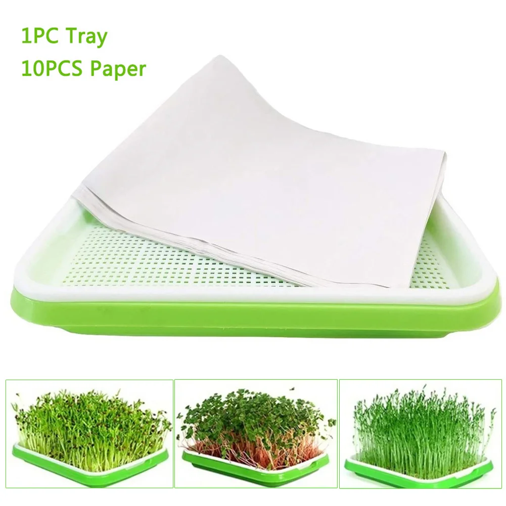 Домашний гидропонный двухслойный поддон для саженцев дуговый настенный зеленый