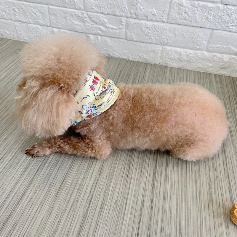 

Dog Summer Cooling Can Put Ice Pack Summer Relieving Scarf Pet Going Out Cooling Scarf Ice Pad Bullfighting Starter