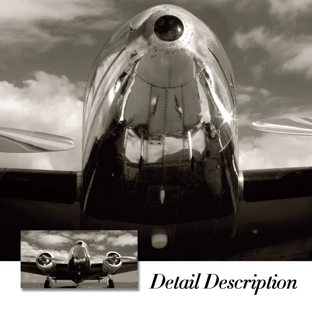 Черно-белый самолетик абстрактный холст фотообои искусство картина для гостиной