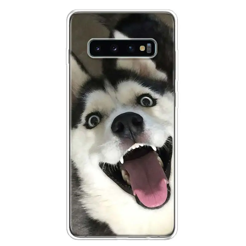 Чехол для Samsung Galaxy S10 Plus S20 FE S21 S22 Ultra S10E S9 S8 + S7 Edge J4 | Мобильные телефоны и аксессуары
