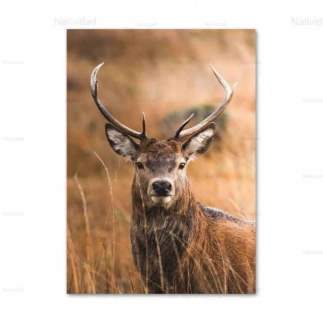 Картина на холсте Осенняя Гора лес туман олень водопад настенные художественные