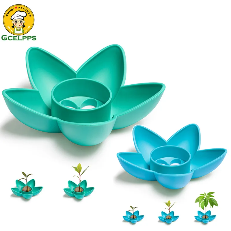 

Avocado Planting Bowl Plant Indoor Garden Gift Practical Gardening Kitchen Gift Lady Blue Avocado Growing Bow Festivel Gifts