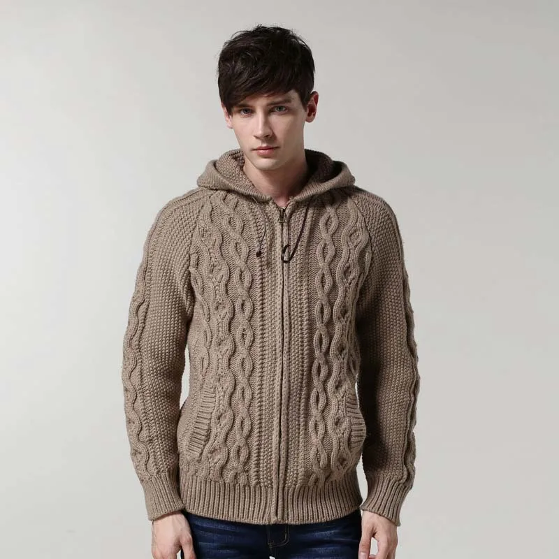 EBAIHUI Men's Sweaters Autumn Winter Warm Zipper Hooded Cardigan Knitted Twist Hoodies Solid Color Vintage Casual Knitwear Coat