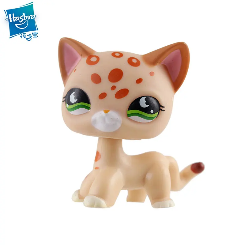 Редкая новинка магазин домашних животных lps игрушка стоячий Короткий волос кошка
