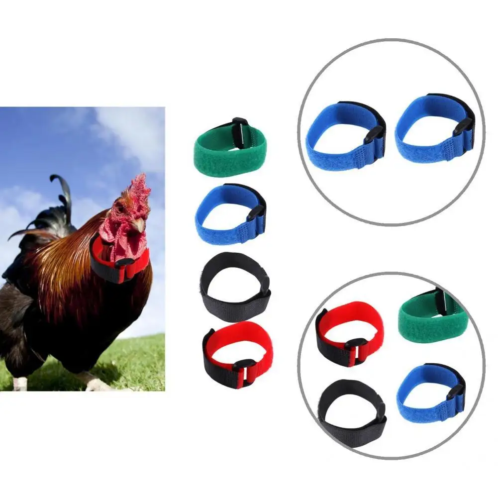 

Great Rooster Collar Anti-screaming Nylon Anti-crowing Breathable Rooster Collar Rooster Neckband Rooster Neckband 2Pcs