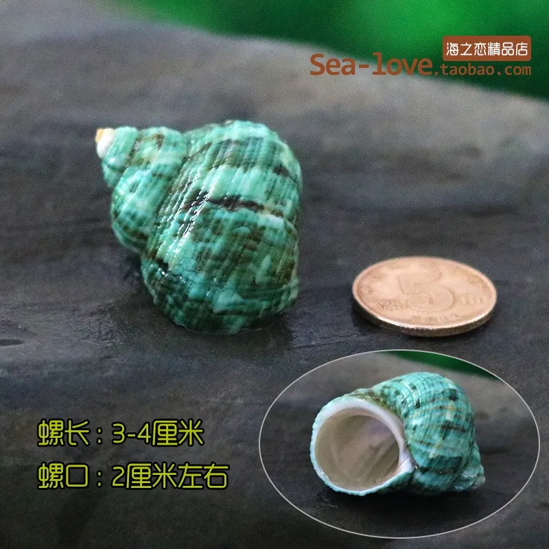 Спиральный корпус аквариум для рыб Crabs украшение аквариума натуральный раковины