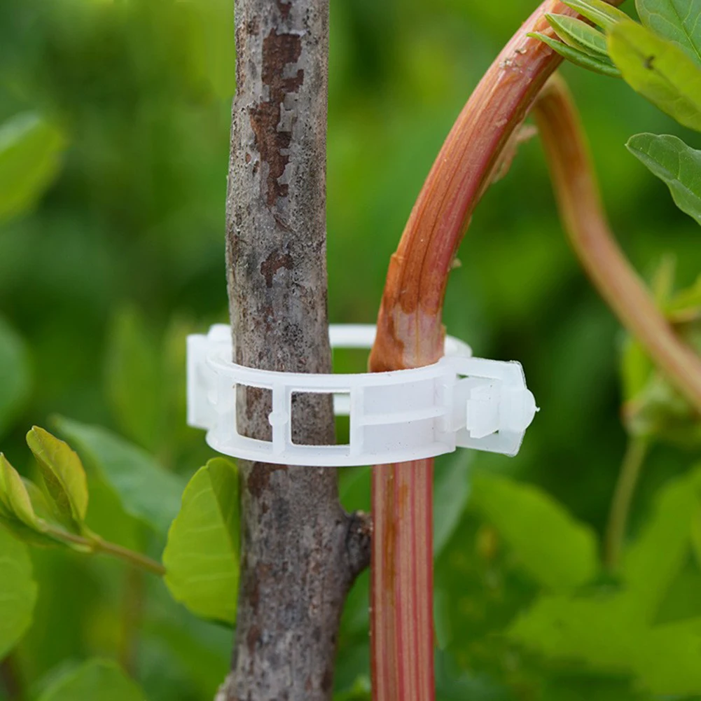 10 шт. зажимы завод держателя помидор висит решетки лоза разъемы оранжерейные