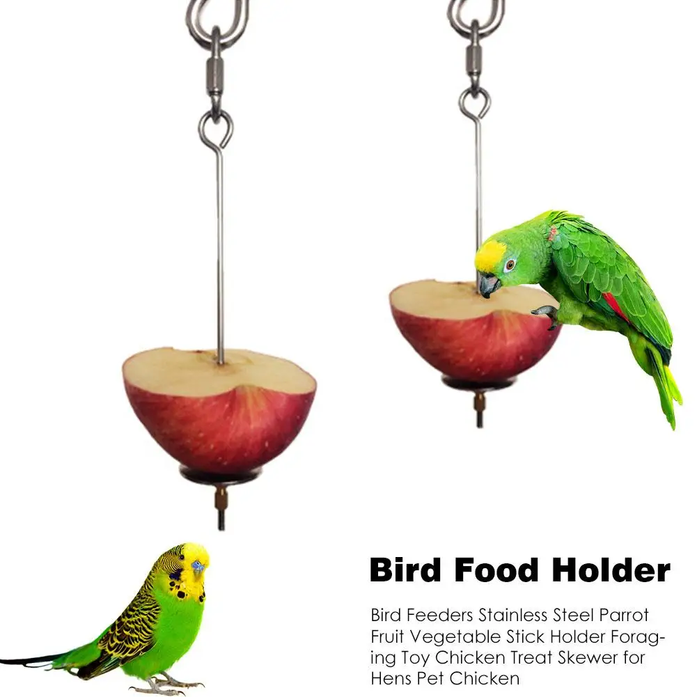 

Bird Food Holder Bird Feeders Stainless Steel Parrot Fruit Vegetable Stick Holder Foraging Toy Chicken Treat Skewer for Hens Pet