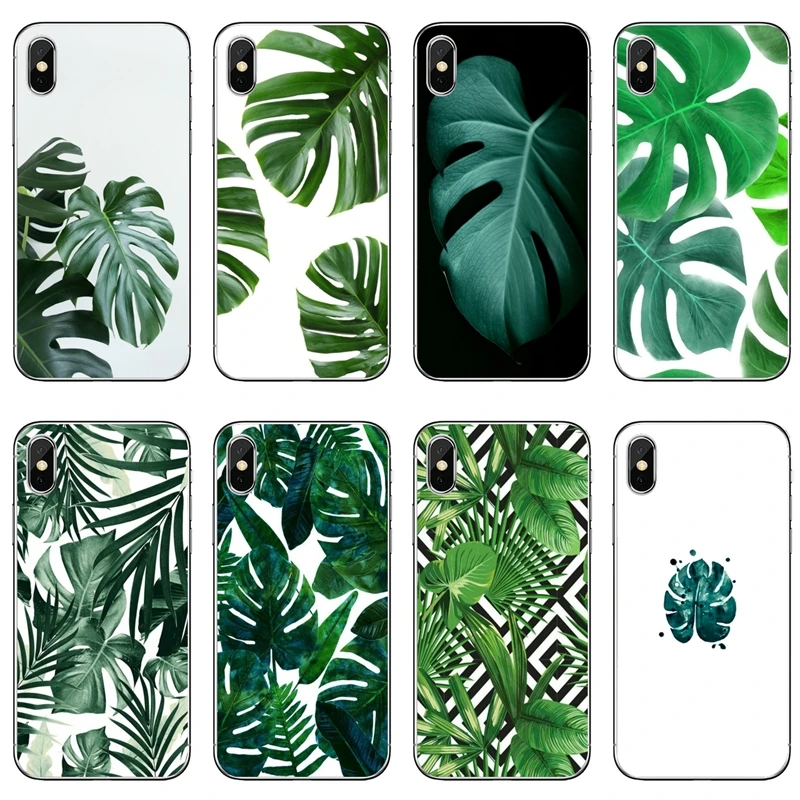 Мягкий силиконовый чехол для телефона с зелеными листьями монстера iPhone 11 Pro XS Max XR