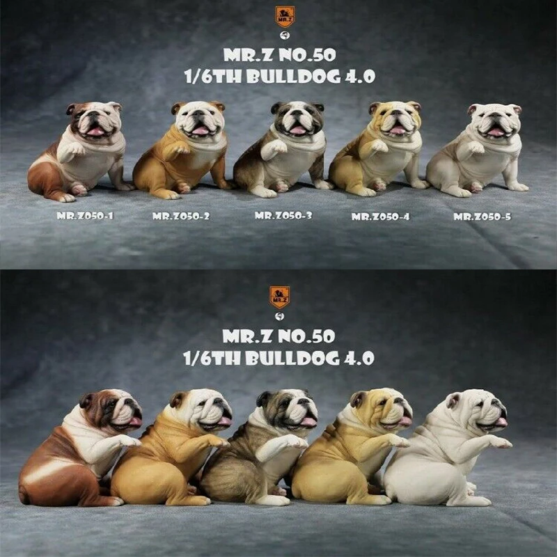 

Mr.Z MRZ050 1/6 британский Бульдог бульдог модель 4,0 собака животное коллекция игрушек