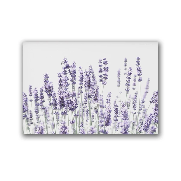 Lavender Flowers Poster Modern Canvas Painting Scandinavian Decoration Purple Botanical Prints Wall Picture Home Room Decor | Дом и сад