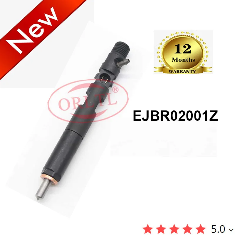 

Дизельный топливный инжектор ORLTL EJBR02001Z R02001Z для DELPHI