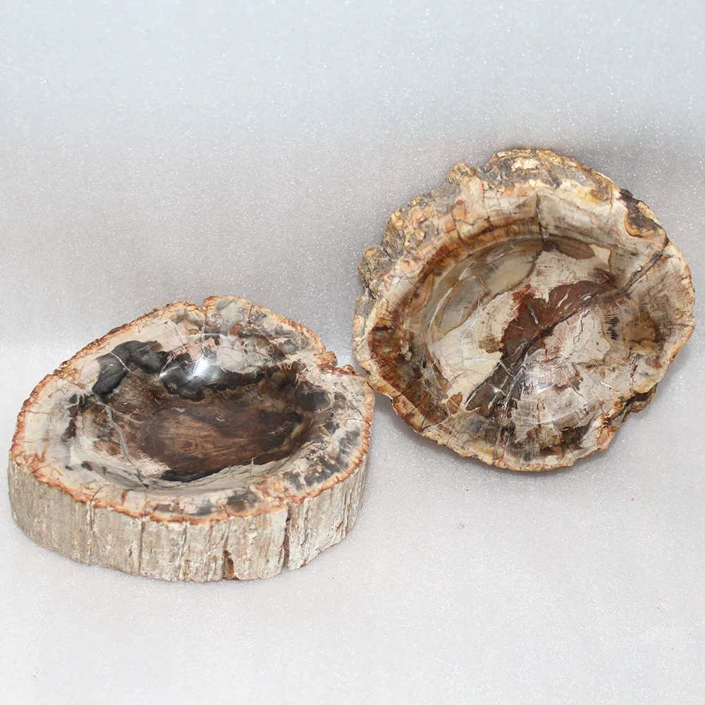 Runyangshi 1pc Beautiful natural wood fossil hand carved polished ashtray | Дом и сад