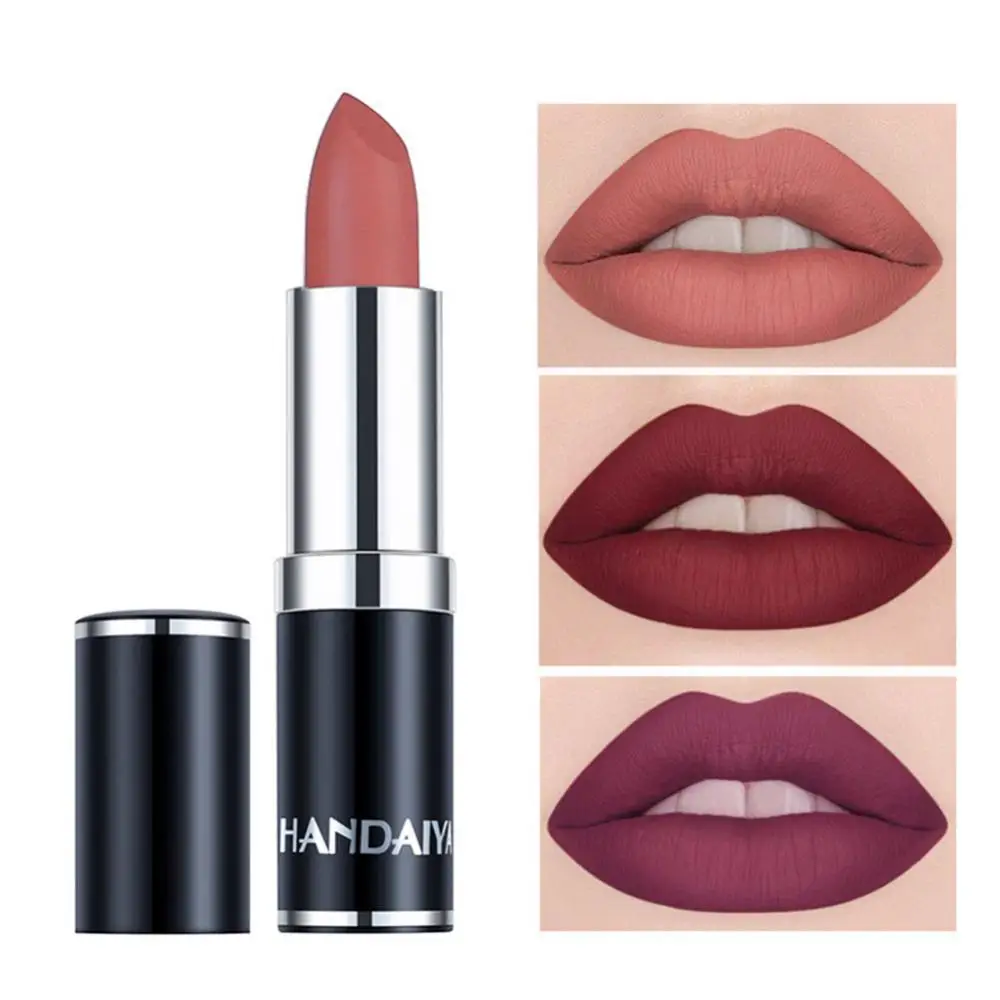 

HANDAIYAN 12 Colors Matte Lipstick Tubes Waterproof Long Lasting Sexy Purple Lipstick Pigments Makeup Never Fade Away