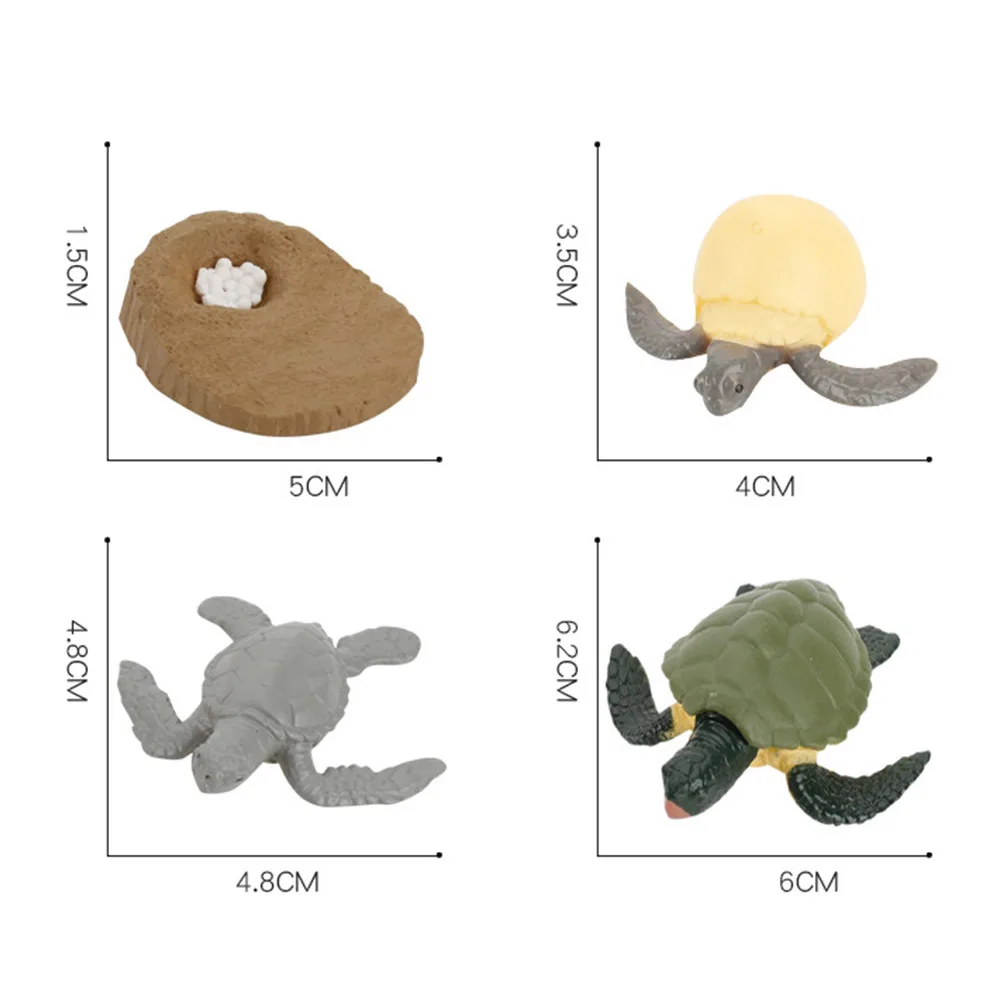 

Cock Rooster Tortoise Simulation Animals Model Life Circle Early Educational Toy Animal Growth Model Toys For Children Kids