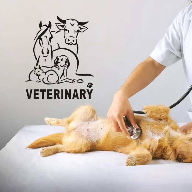 Собака Кошка ветеринарный Pet Shop наклейка плакаты виниловые настенные