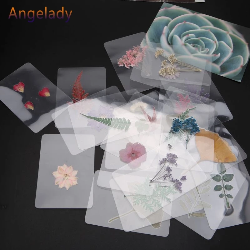 Смешанный прессованный цветок листья образец растения наполнитель для