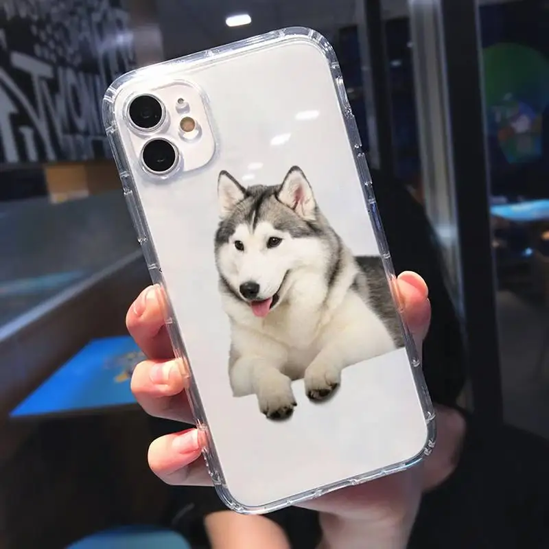 

Husky Kawaii Wolf cute Phone Case Transparent soft For iphone 5 5s 5c se 6 6s 7 8 11 12 plus mini x xs xr pro max