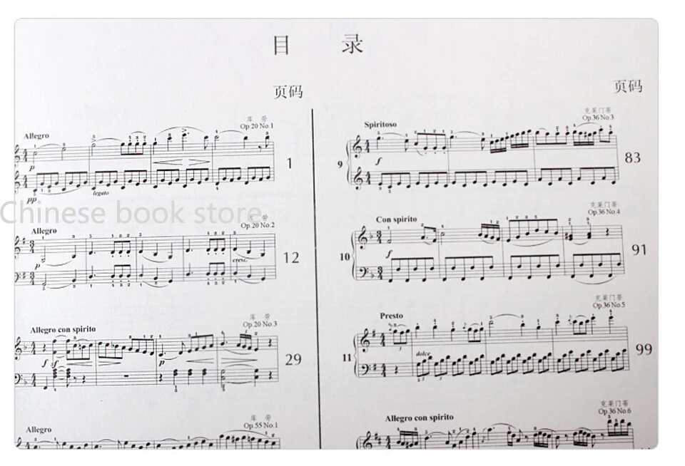 Китайская музыкальная книга: Соната художественная книга для работы на