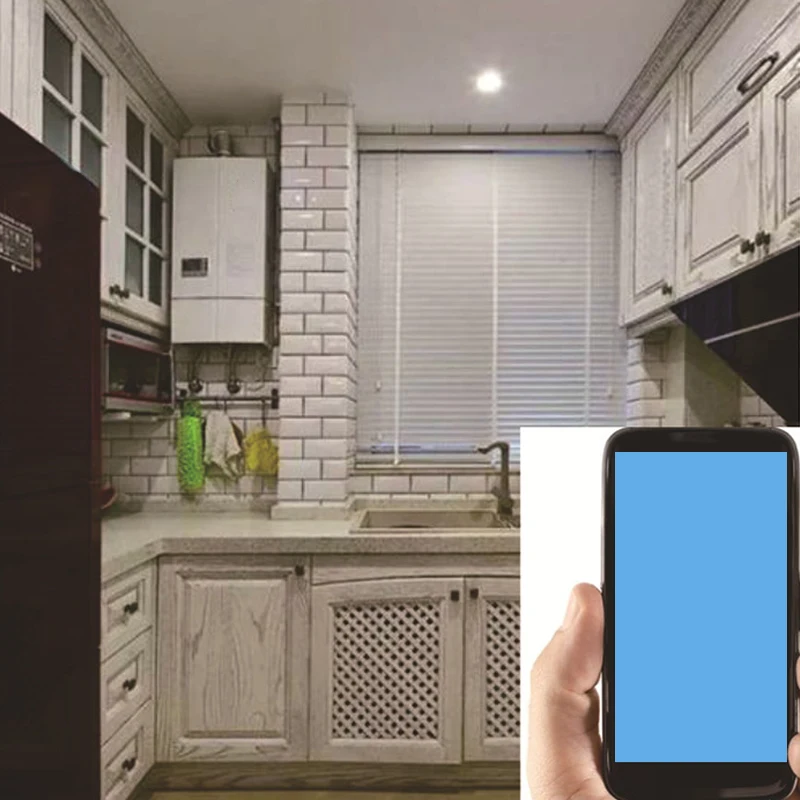 

Smart Switch Wifi Boiler Smart Switch Water Heater Switch APP Voice Remote Control Press Panel Timer-EU Plug