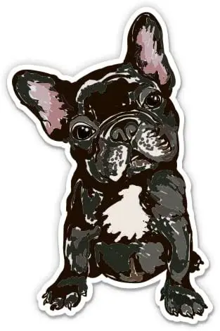 

Экспресс милый Французский Бульдог-Виниловая наклейка Водонепроницаемая наклейка