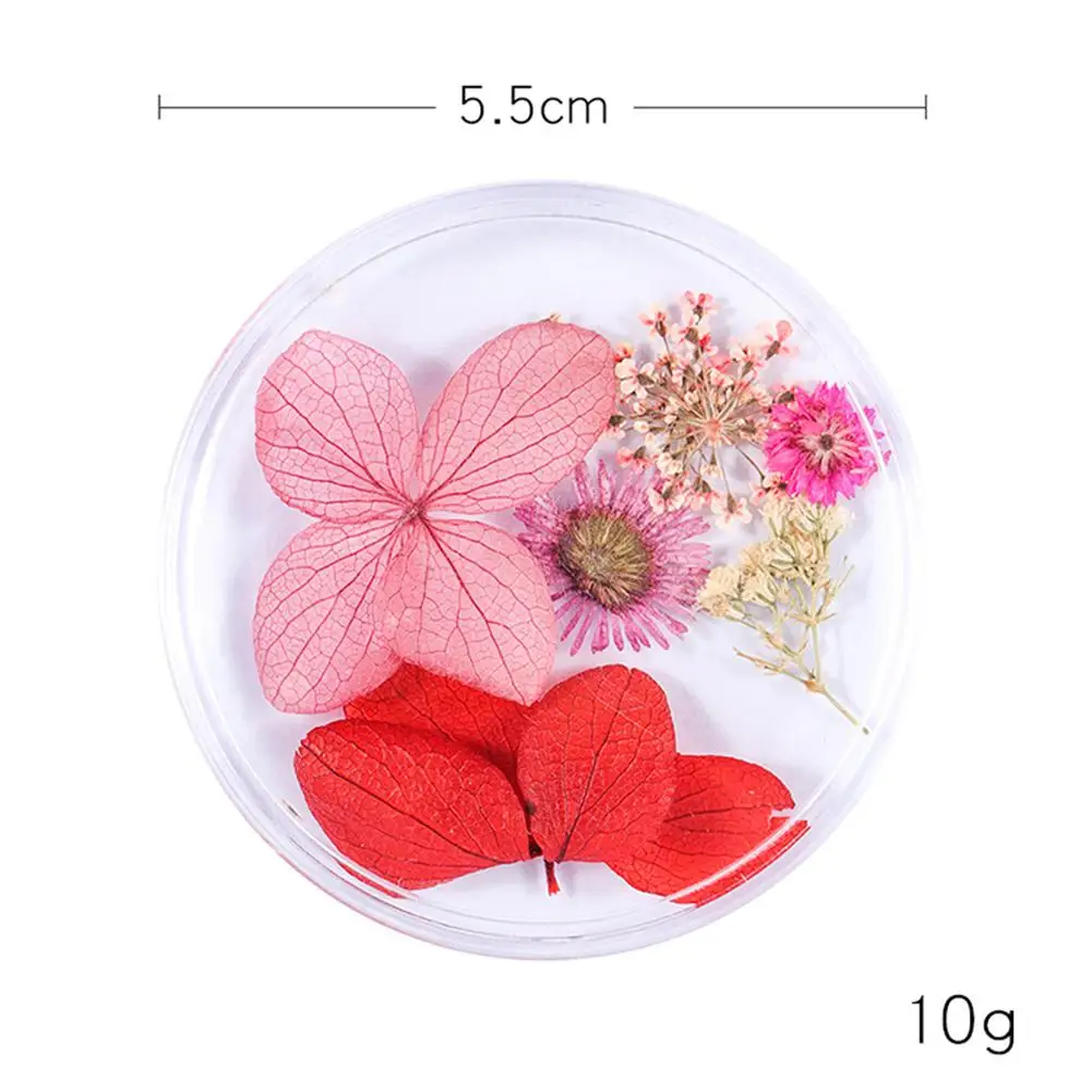 1 Box New Japanese Nail Art Decorations Dried Flowers Natural Beautiful Fresh Flower Lace Ornaments | Красота и здоровье