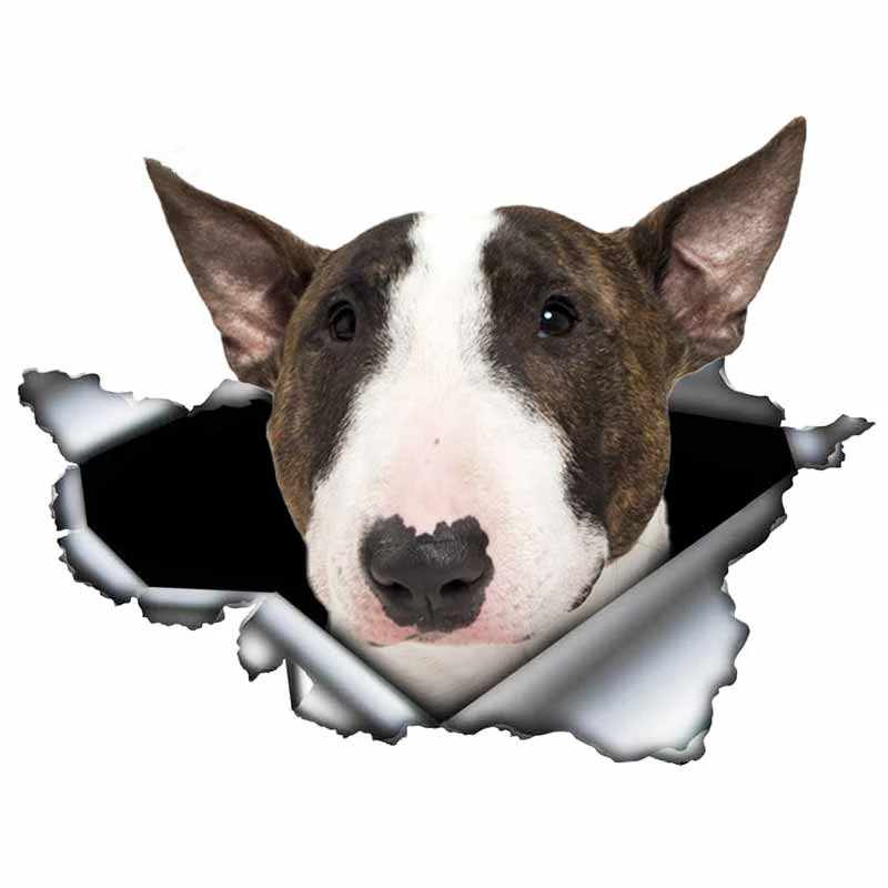 

Reflective Creative White Bull Terrier Car Sticker 3d Torn Metal Decal Waterproof Stickers Animal Dog Vinyl KK,13*4cm