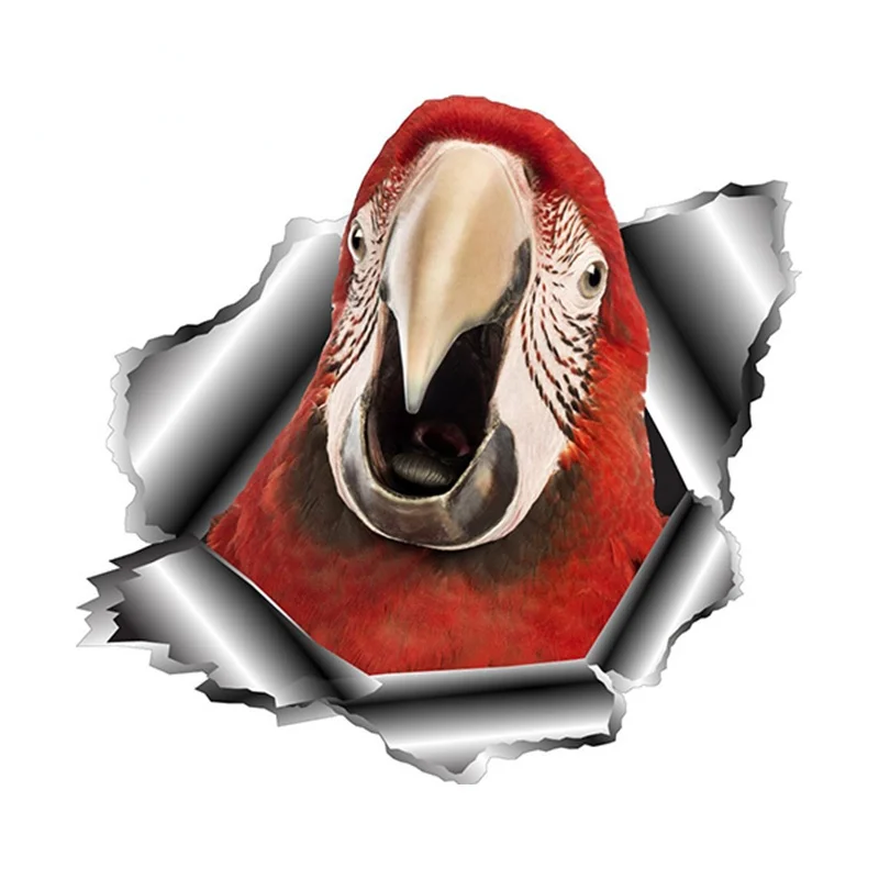 

Design Parrot Car Sticker Torn Window Bumper Decal Reflective Stickers Animal Car Styling Decals KK13*13cm