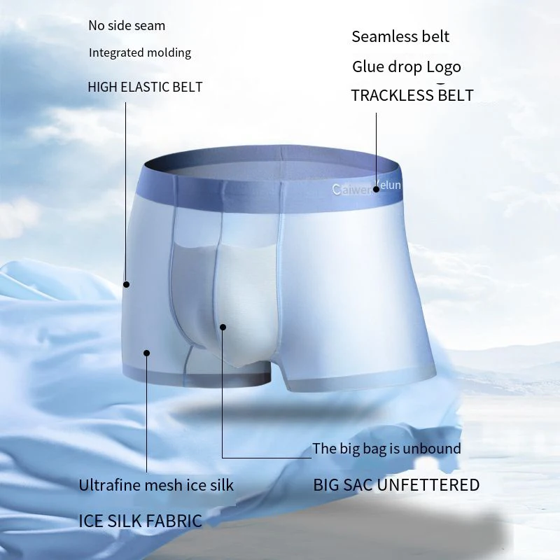 

New 2021 4 Pcs/lot Breathable Mesh Silk Men's Underwear Briefs Men Bamboo Fiber Mens Bodysuit Male Comfortable Solid Underpants