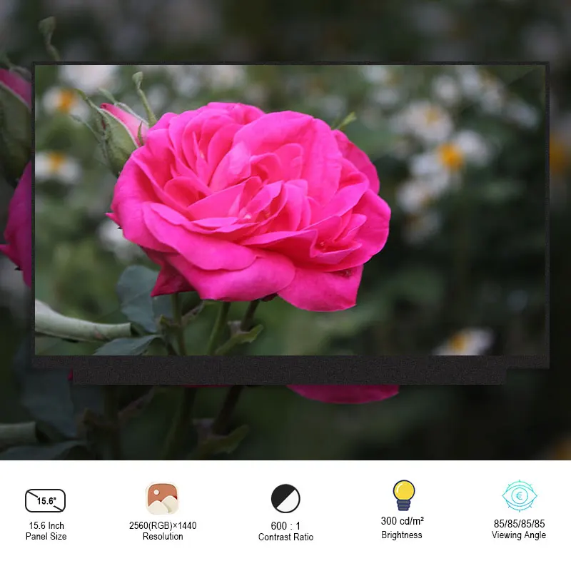 

Оригинальный 5,5-дюймовый экран eDP TTL LCD диагональю 15,6*2560 для ноутбука и т. Д.