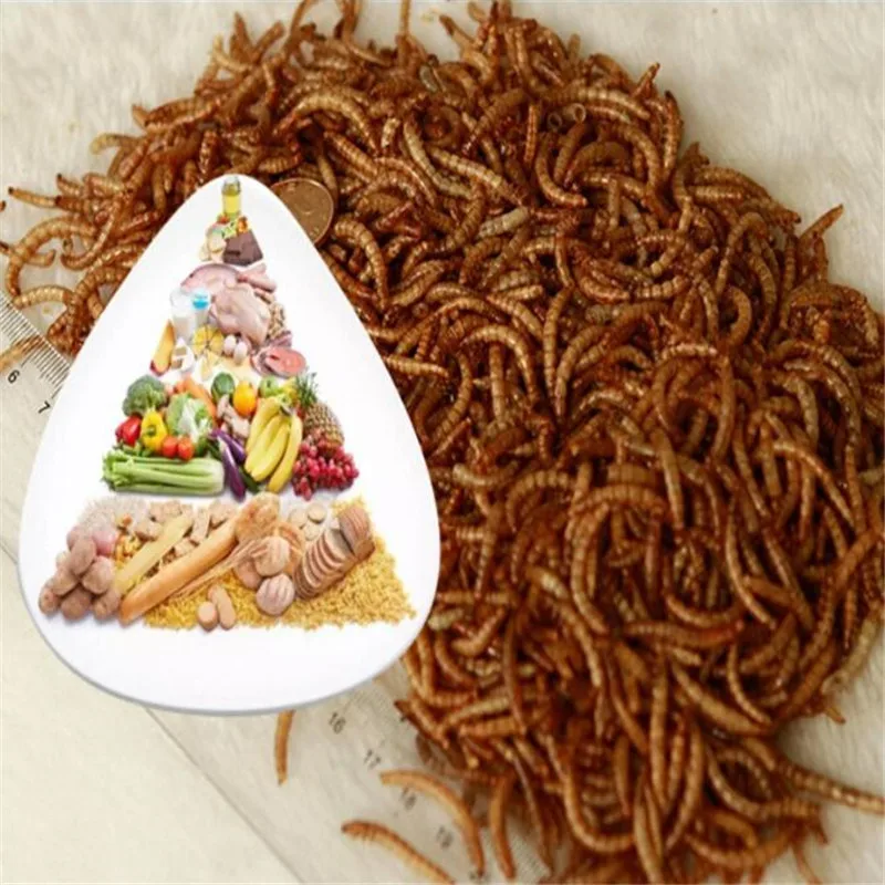 2020 сушеный аквариум Mealworm пруд рептилии дикая птица еда хомяк семена птиц ящерица
