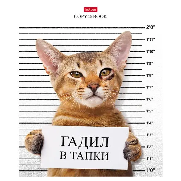 Набор тетрадей 48 л. х 10 шт Hatber &quotобормот&quot А5 клетка на скобе 5 обложек |