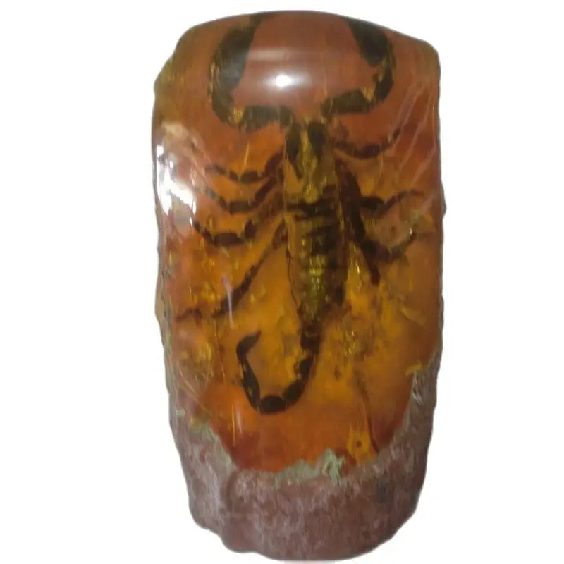 

Коллекция и украшение для дома из натурального янтаря в виде скорпиона