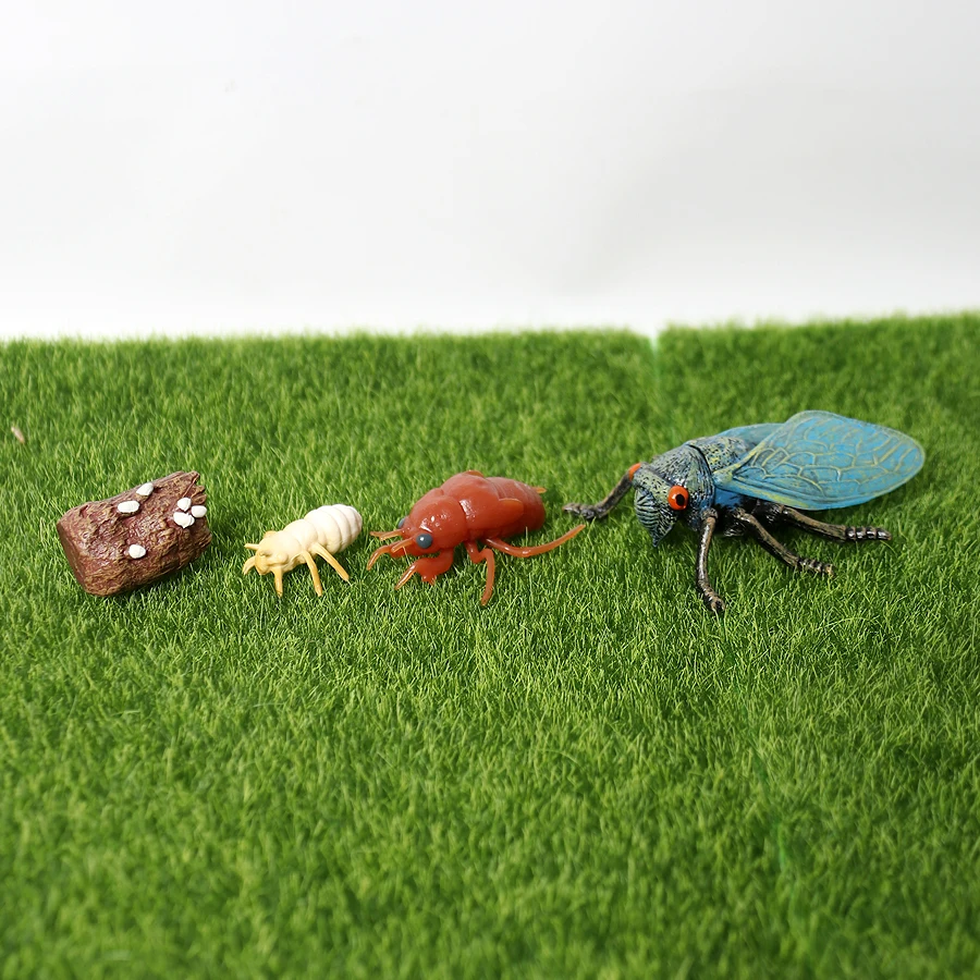 

Simulation Insects Figurines Cicada Growth Cycle Model Figures Themed Party Collection Science Educational Toys for Children