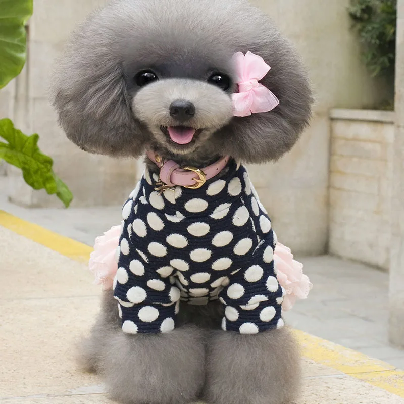 Платье для собаки Тедди Осень Зима Одежда принцесса Бишон Pettiskirt одежда домашнего