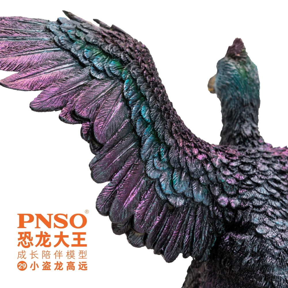 PNSO-dinosaurio prehistorico, modelos: 29 Gaoyuan, El Microraptor-5