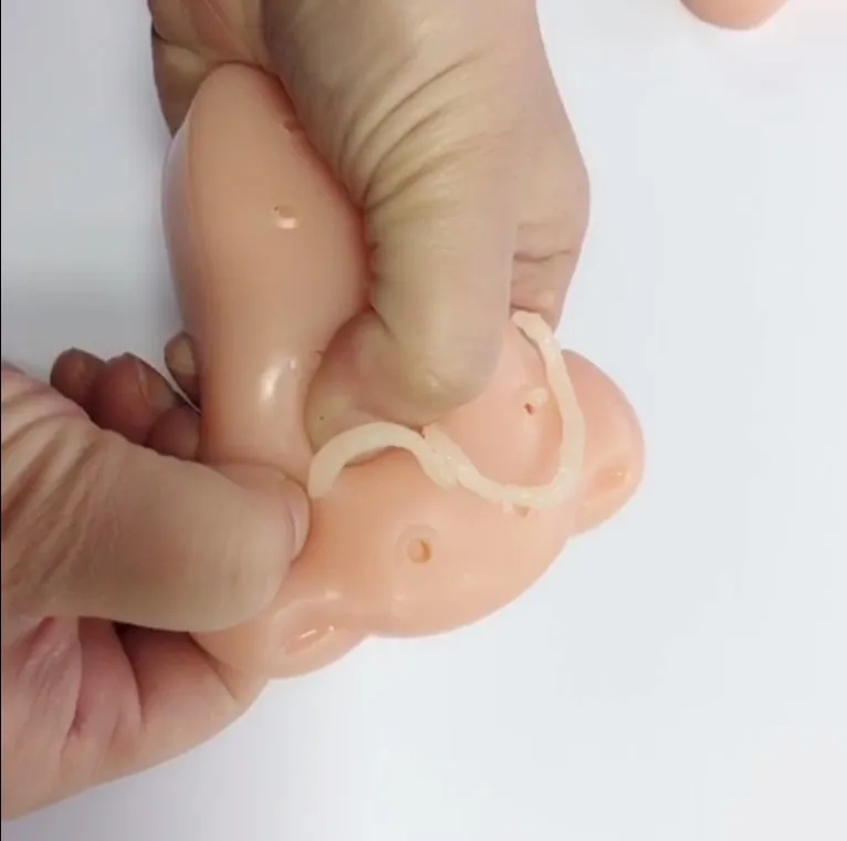 

Novelty & Gag Toys