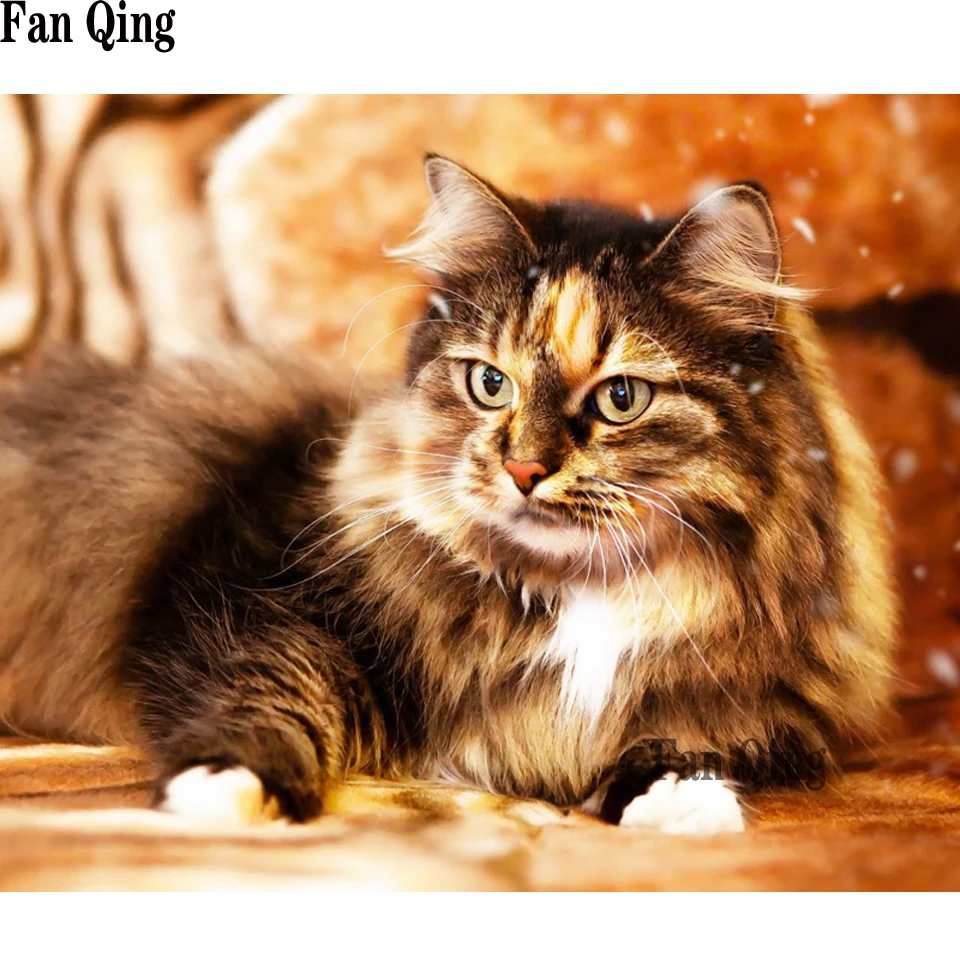 Алмазная 5D картина с кошкой милой котенком алмазная вышивка Набор для вышивки