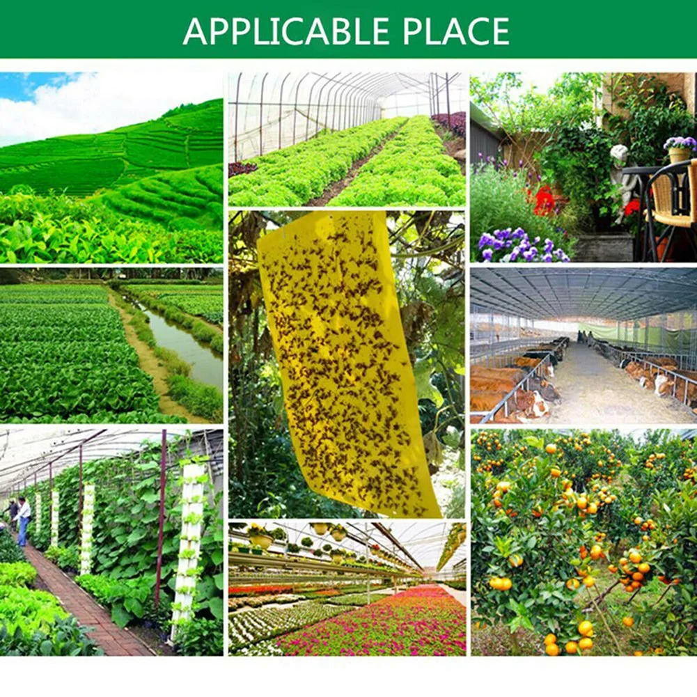 

Fruit Bugs Sticky Boards Outdoor Paper Garden Catcher Insect 20*12.5cm