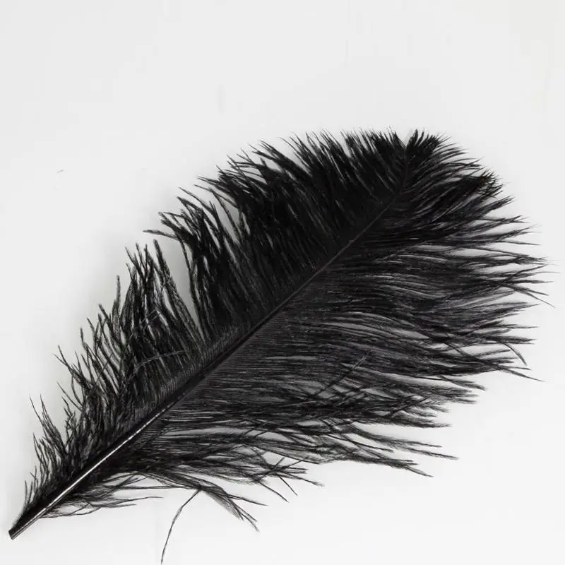Черные 10 шт страусиные перья для DIY ремесла платье дом вечерние украшения|Перо| |