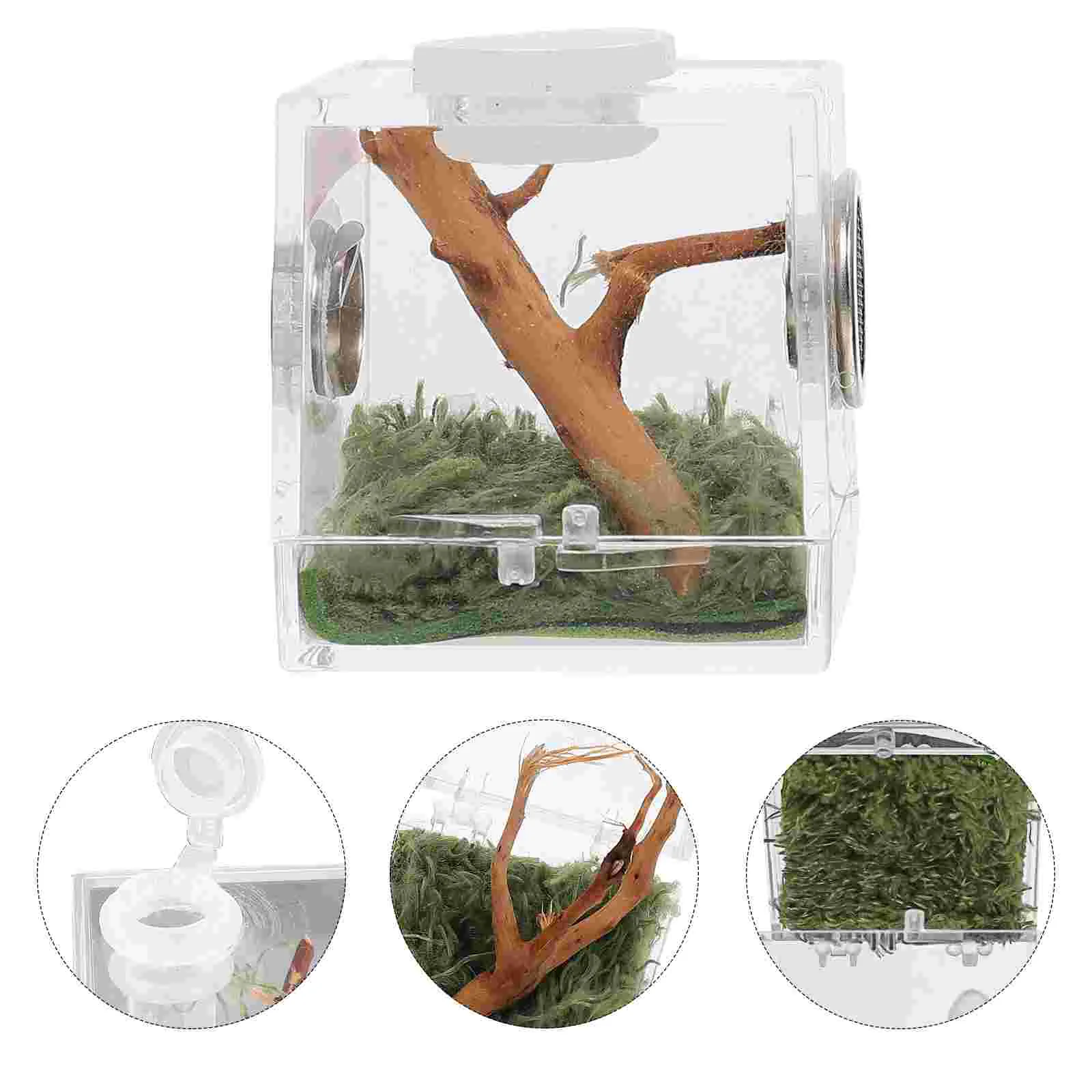 

1 Set of Spider Habitat Acrylic Box High Transparent Jumping Spider Cage Acrylic Case