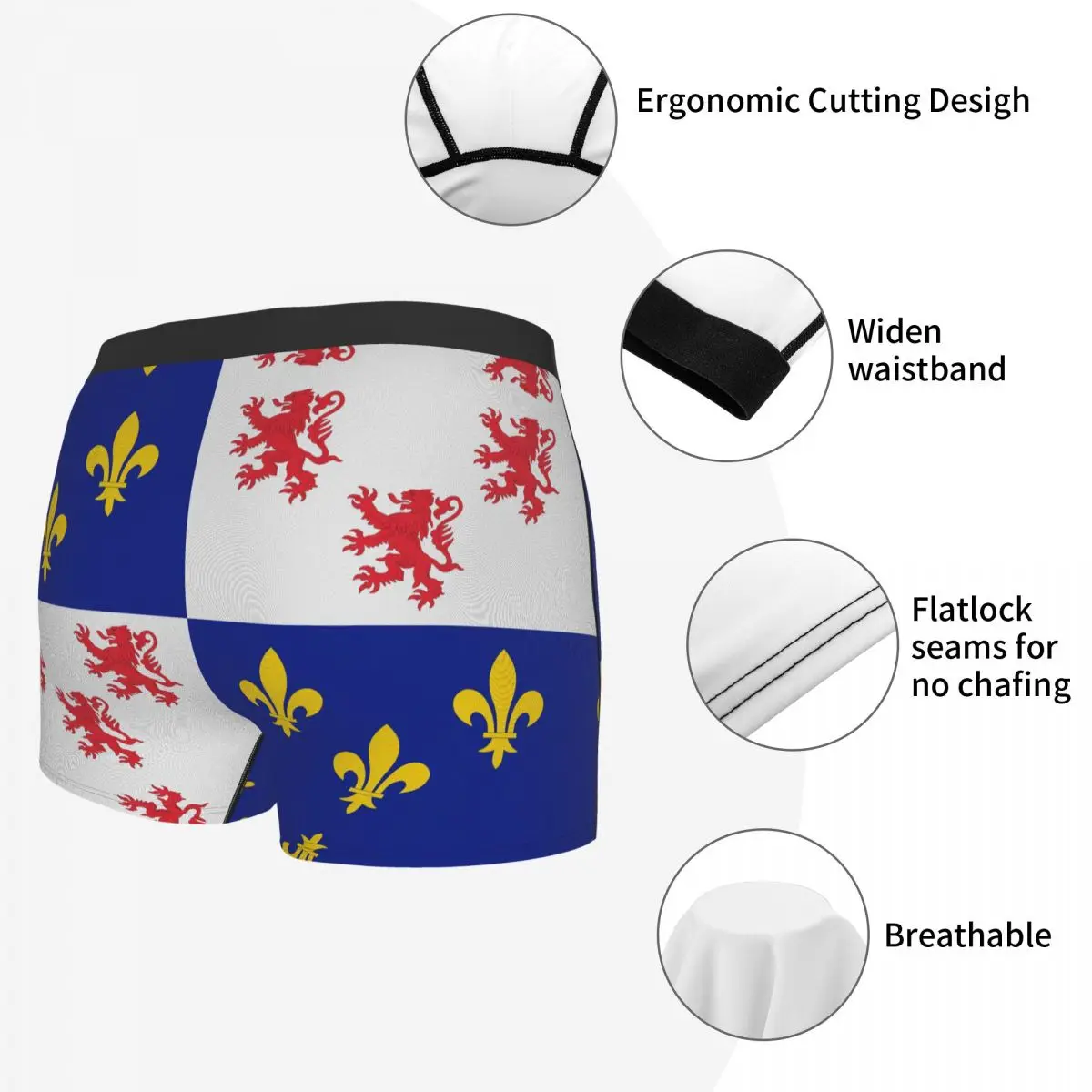 Flag Of Picardie Men's Boxer Briefs Flags of the regions of France Nerd elastic pants for men