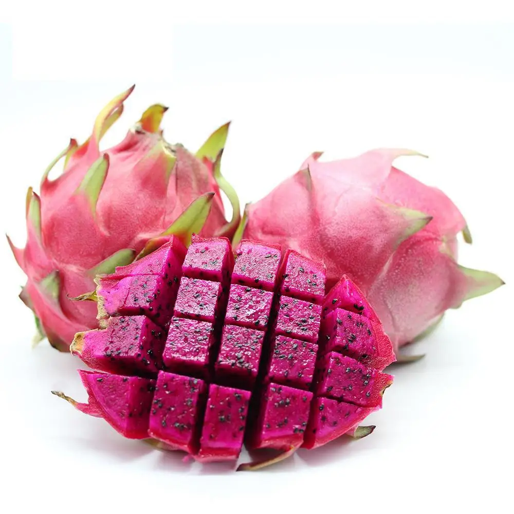 Сертифицированный USDA и EC органический порошок питая фруктового сока красного